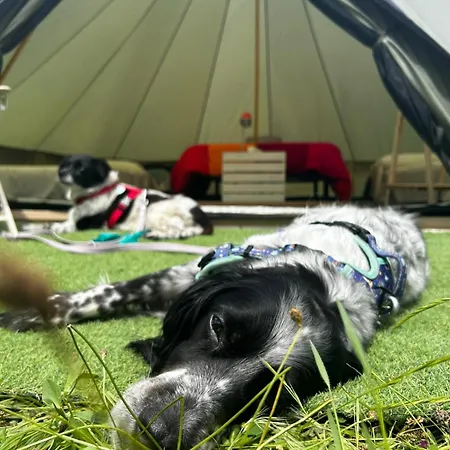 مكان تخييم Yokai Camp Y Glamping En El Bierzo *