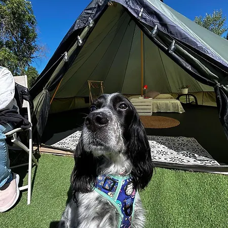 Yokai Camp Y Glamping En El Bierzo